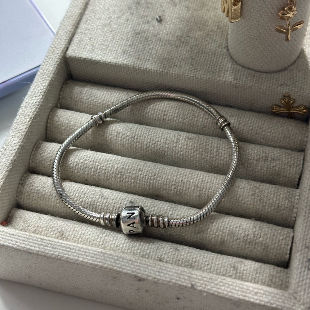 Pandora charm bracelet